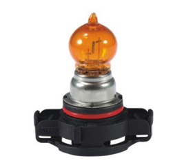 PSY24W 12V24W